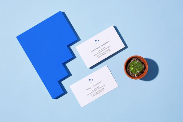 portfolio_29